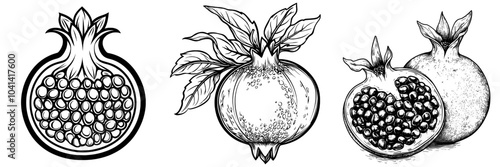Modern illustration of half a pomegranate. Hand drawn outline of a halved summer fruit. Raw pomegranate cut into half with seeds to eat, a piece of antioxidant vitamin product for vegetarian dessert.