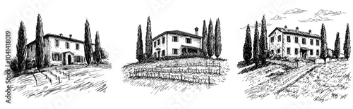 A drawing of a natural landscape with vineyards and farmhouses. A modern illustration of a country pasture with trees, bushes, and houses. Black and white outline.