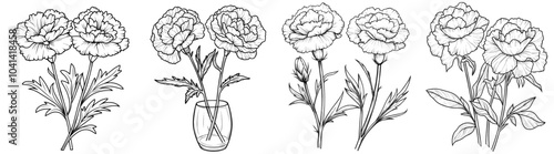 Line art illustration set of carnations isolated on white. Hand-drawn sketch of flower in black ink. Modern minimalist design.