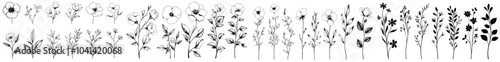 Elegant floral illustration for backgrounds. Black and white hand-drawn design for wedding cards, polygraphs, logos, tattoos, polygraphs and more.