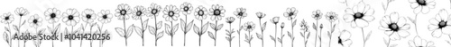Flowers for April Birth Month, Daisy, from our collection of modern botanical illustrations. Black ink sketches for logo, tattoos, wall art, packaging.