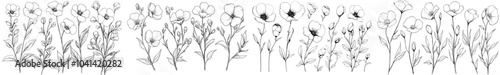 A collection of hand-drawn flowers and botanical branches, delicately illustrated