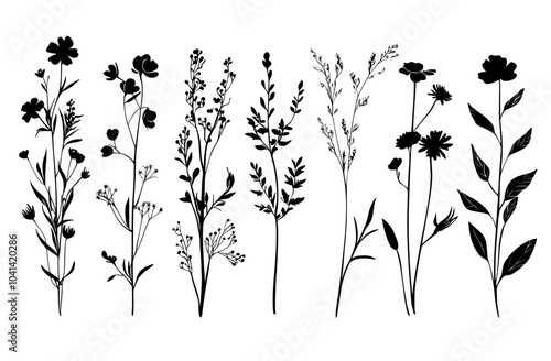 Wildflowers grass and dragonfly silhouettes. Hand drawn black illustrations with spring or summer flowers. Shadow of herbs and plants. Nature field isolated against white.