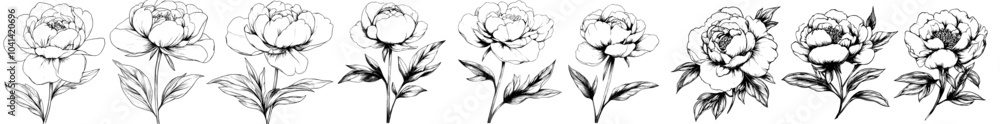 Fototapeta premium Printed line art set of Peonies with a black ink outline on a transparent background. Suitable for tattoo, logos, and jewelry.