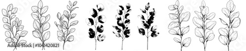 Elegant hand-drawn monochrome botanical illustration. Template for wedding cards and polygraphs. Template for tattoos, wedding decoration.