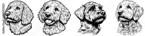 An icon, logo, or isolated object of a Labradoodle. Beautiful engraving in monochrome.