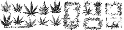 Sketches of hemp leaves, marijuana seeds, and hand drawn cannabis plants