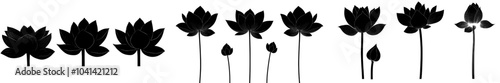 A set of black silhouettes showing Lotus and Water Lily flowers. July birth month flowers. Modern design for tattoo, logo, cards, packaging, wall art. Monochrome illustrations on transparent