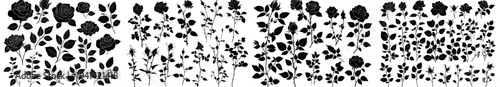 A set of silhouettes of decorative flowers with steam and leaves. A set of hand drawn flower outline icons. Modern monochrome illustrations isolated on transparent background.