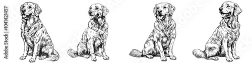 Full-body sketch of a golden retriever dog. Modern background isolated on white.