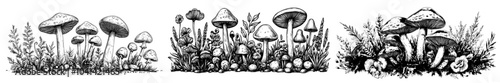 Intense graphic illustration featuring edible forest mushrooms, boletus, chanterelles, blueberries, lingonberries, leaves, firs, and cones. Illustration is hand drawn with ink in brown. Seamless