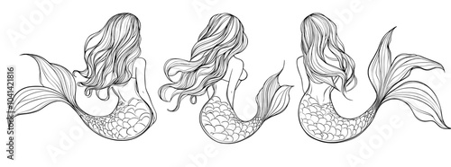 Linear sketch of children's coloring book with a koi fish symbol outline. Undersea world. Ocean dwellers. Set of graphic fish. Black and white contour drawing with various sea creatures.
