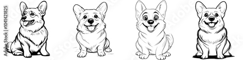 An engraved ink line art sketch illustrated with a Corgi dog. photo