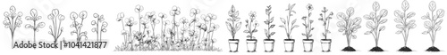 The microgreens in this illustration were hand drawn at the beginning and the end. The sprouts are a mixture of watercress, spinach, mustard cress, peas, radish, onion, sunflower, basil. For use in