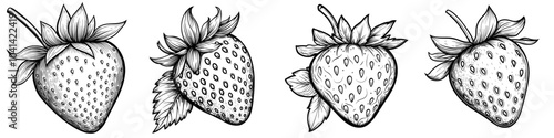 An Ozark Beauty strawberry drawing, black realistic sketches of fruits, drawing of a fruit head