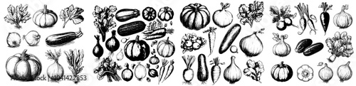 Carrots, pumpkins, and onions are drawn as a vegetable assortment