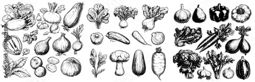 Vegetable sketch with pumpkins, carrots, and squash