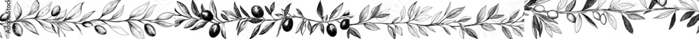 Outline monochrome ink sketch style hand drawn modern illustration isolated on transparent background with olive branch border.