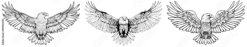 Obraz premium Detailed monochrome sketch of a bald eagle vintage illustration, isolated modern engraving, drawings of wild birds in engraving style, vintage bird illustrations, antique bird illustrations, drawings