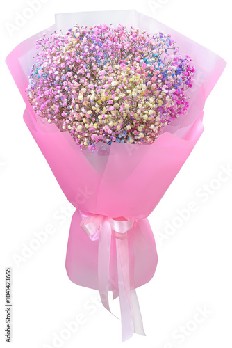 Bouquet of rainbow gypsophila isolated on white background. Fresh cut flower.
