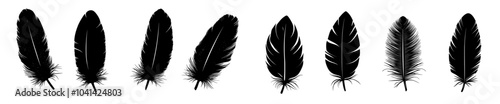 Black and white modern illustration with hand-drawn sketches of vintage feathers