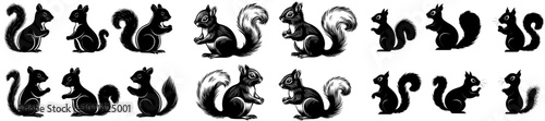 The squirrel set illustration in black and white engraving style has various hand-drawn poses