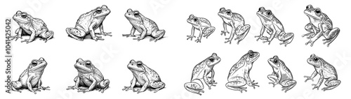 Vintage Engraved Pattern of Handdrawn Frog Sketches in Black and White