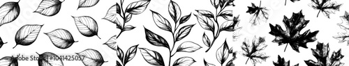 Black and white vintage engraved leaf pattern with modern illustration