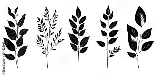 Illustration of dry autumn leaves in handwritten style. Black silhouette on transparent background.