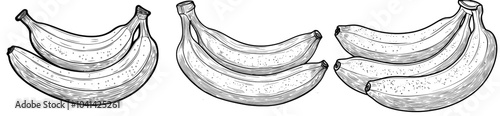 Wallpaper Mural A simple black and white banana line drawing on a white background can be used as a coloring book Torontodigital.ca