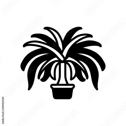 Ponytail Palm Glyph Icon, Vector illustration