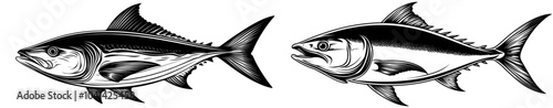 This black and white fish illustration has a detailed fin and scale design, perfect for marine themed designs & projects