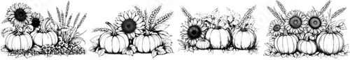 This modern illustration of pumpkins and sunflowers is perfect for harvest festival greeting cards or wedding invitations. It is drawn with black outline and image of autumn leaves, plants, and