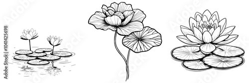 Waterlily leaf monochrome modern isolated illustration on white background. Hand drawn and painted using black inks. Tropical plant element for floral arrangements.