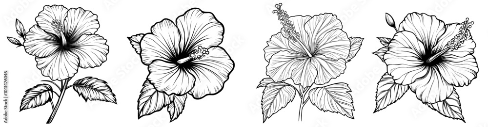 Fototapeta premium The Hibiscus Flower - Elegant Black and White Drawing.