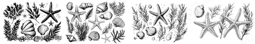 An underwater world clipart illustration with starfishes, shells, coral and algae. Hand drawn watercolor illustration. Algae isolated from the background.