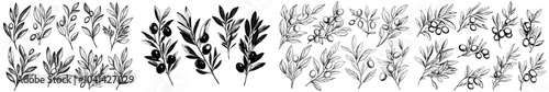 The sea buckthorn tree branches with leaves and berries are hand drawn and painted by black inks. They can be used for food design, patterns, greetings, packages, and labels.