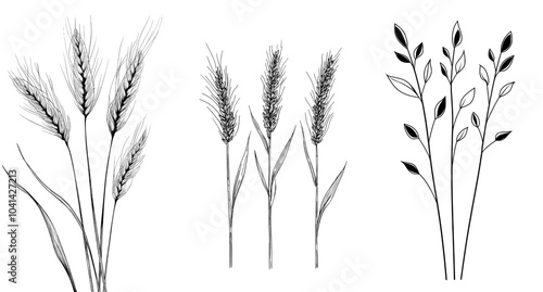 It features three detailed ears of wheat on three black and white wheat stalks. It works well with agriculture and farming themes, minimalism, nature themes, and organic products.