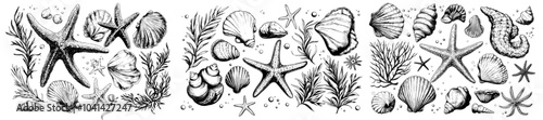 EPS files of underwater world clipart with sea animals, such as starfish, coral, sponges, and pebbles. Black ink illustration.