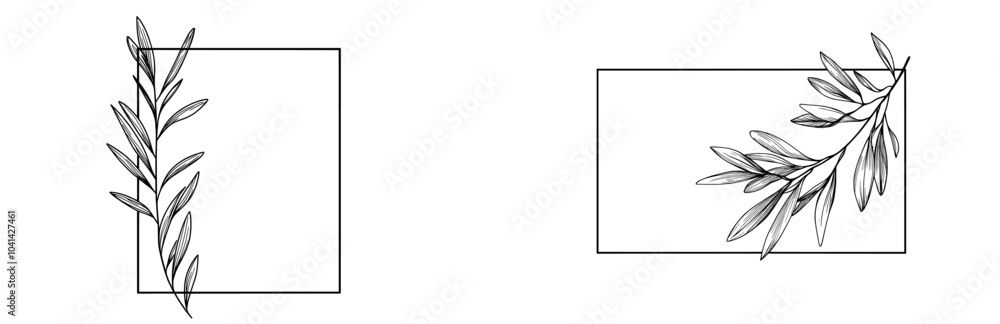An olive rectangular, square frame with hand-drawn olive leaves and fruits. A modern illustration for logos and stationery. An olive rectangular, square frame with hand-drawn olive leaves and fruits. A modern illustration for logos and stationery.
