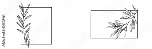 An olive rectangular, square frame with hand-drawn olive leaves and fruits. A modern illustration for logos and stationery.