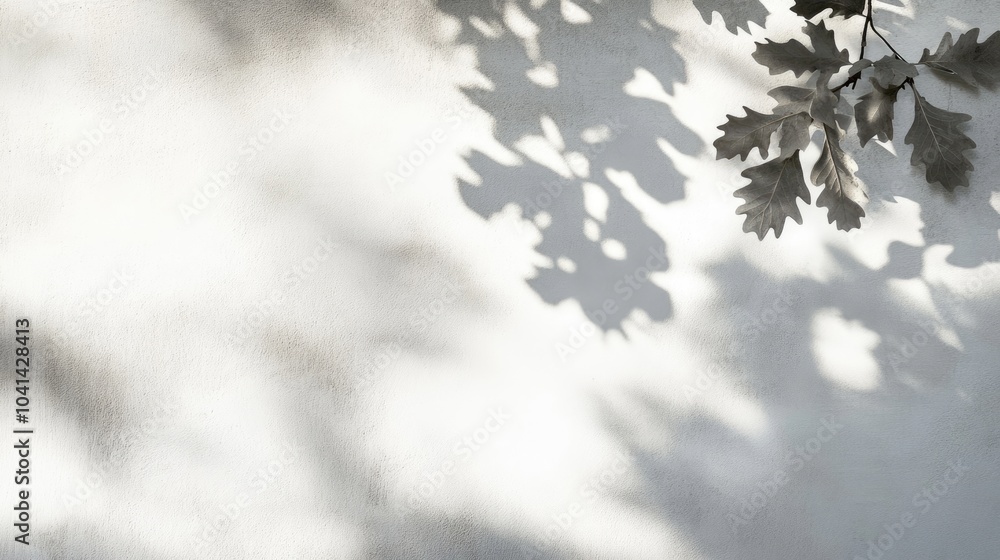 Overlay effect on a photo featuring gray shadows of oak tree leaves on a white wall Abstract neutral nature theme with a blurred background Ample space for text Overlay effect on a photo featuring gray shadows of oak tree leaves on a white wall Abstract neutral nature theme with a blurred background Ample space for text