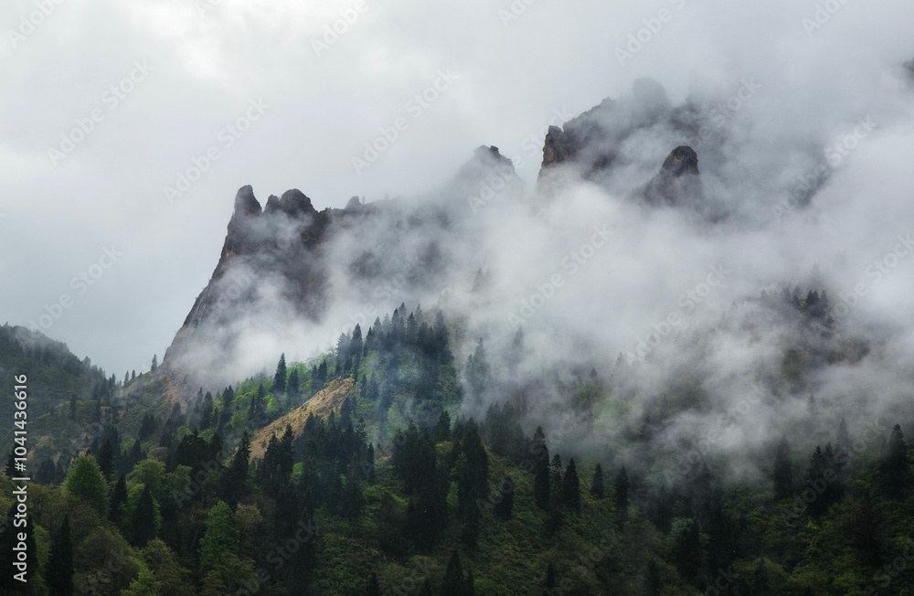 Misty mountain peaks with lush forest Misty mountain peaks with lush forest