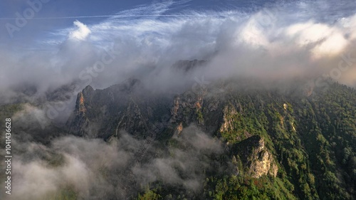 Misty Mountains and Lush Greenery