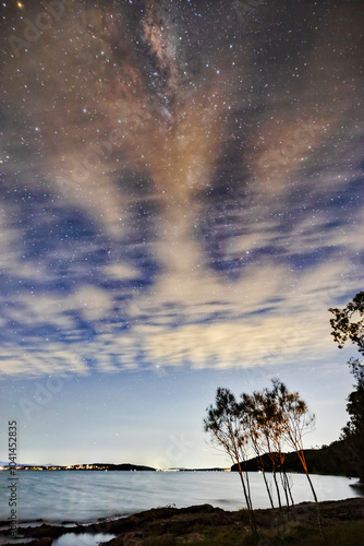 Milky Way MB corner pines sky photo