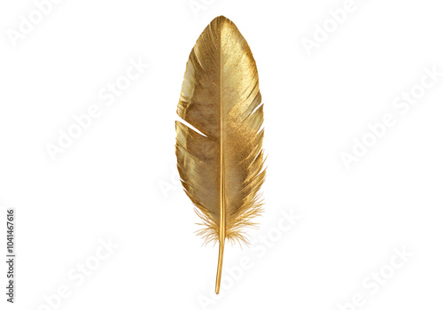 Photo of golden feather .Transparent background. Isolated PNG.