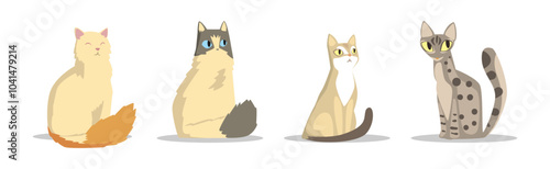 Different Cat Breed as Domestic Pet in Sitting Pose Vector Set