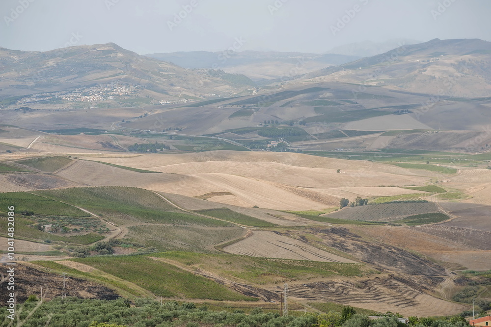 landscape with vineyards and mountains in Sicily