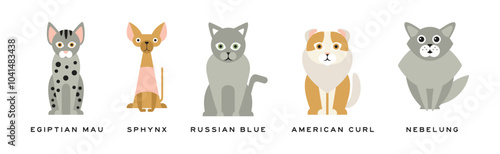 Different Cat Breed as Domestic Pet in Sitting Pose with Name Vector Set