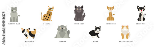 Different Cat Breed as Domestic Pet in Sitting Pose with Name Vector Set